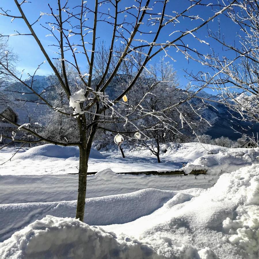 Residence Aurora, Bohinj Eksteriør bilde