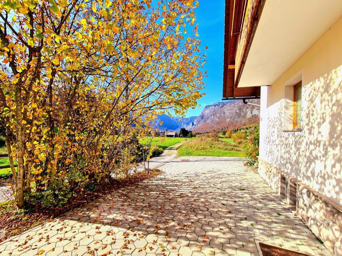 Residence Aurora, Bohinj Eksteriør bilde