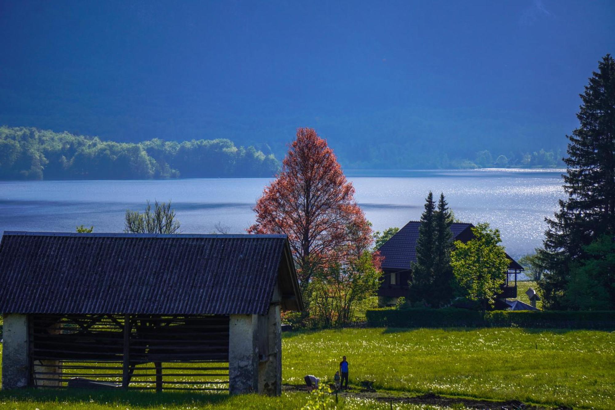 Residence Aurora, Bohinj Eksteriør bilde